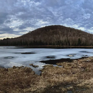 Vermont Institute of Celtic Arts